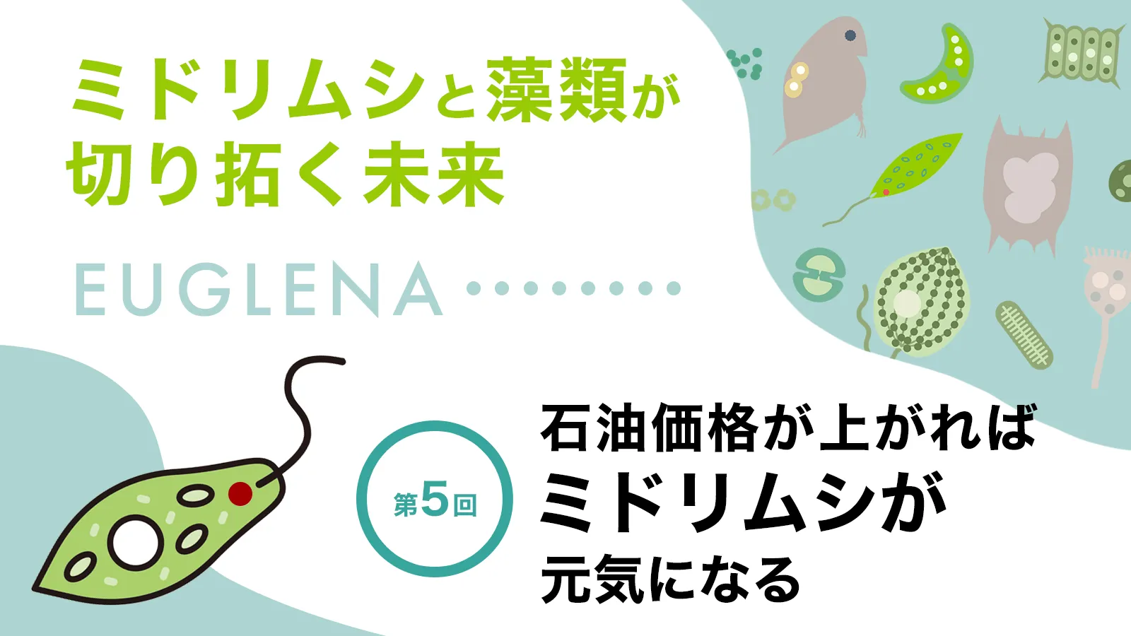 ミドリムシって、そもそもどんなやつ？【ミドリムシと藻類が切り拓く